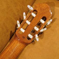 ARIA A-85CWE_14