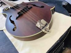 Eastman  MD-315 with PU アンプに繋げる マンドリン　イーストマン　MD315　mandolin_7