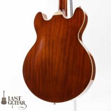 Eastman T185MX GB_8