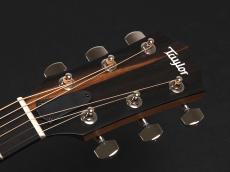 Taylor 214ce Plus 【Torrefied Top & C-Class Bracing採用の最新モデル!】_3