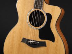 Taylor 214ce Plus 【Torrefied Top & C-Class Bracing採用の最新モデル!】_5