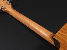 Taylor 214ce Plus 【Torrefied Top & C-Class Bracing採用の最新モデル!】_9