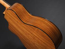 Taylor 214ce Plus 【Torrefied Top & C-Class Bracing採用の最新モデル!】_11