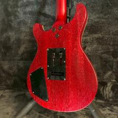 Greco EW-88 Translucent Red【3.23㎏】_10