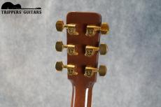 Roy Noble HD-100 (1994)_8