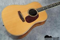 Roy Noble HD-100 (1994)_14