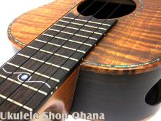 Seilen [SLC-490Koa/SH]コンサート 5Aハワイアンカーリーコア/インディアンローズウッド_16