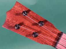 Martin CENTENNIAL CONCERT UKE_5