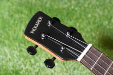 PICKAPICK  M3 Concert _10