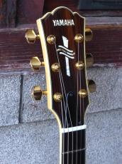 YAMAHA ’09 AEX-1500_5