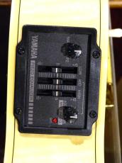 YAMAHA ’09 AEX-1500_12