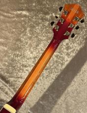Ibanez 【NEW】 Artstar AF115 AWB Aged Whiskey Burst sn PW25120014 [2.98kg]【G-CLUB TOKYO】_8