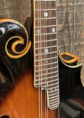 Gibson F-12 1970's_4