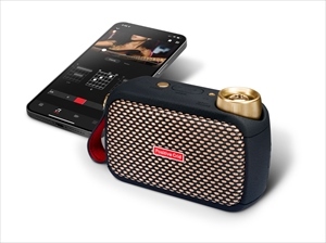 Positive Grid Spark Go