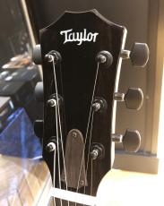 Taylor CT5z B5009 – T5z, Big Leaf Maple/Shamel Ash_5
