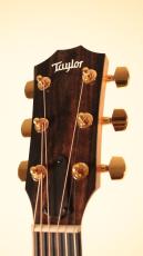 Taylor 224ce-K DLX #2205134440【オールハワイアンコアボディ】_10