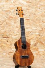 KIWAYA KPC-3K/C Concert_3