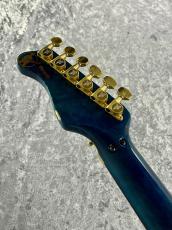 Valley Arts 【春の中古楽器祭り】Custom Pro SRE-270 【USED】_5