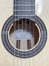 Juan Hernandez [ホアン・エルナンデス] Samba Enhance 【デュアル・ピックアップ】【48回無金利キャンペーン】_11