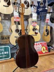Juan Hernandez [ホアン・エルナンデス] Profesor 松【スペイン製】【オール単板】_4