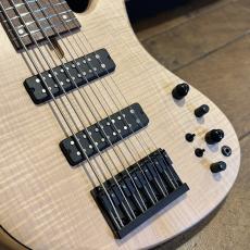 Fodera Emperor 6 Standard Special Flame Maple 2022_2