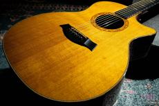 Taylor 514-CE-L30 / 2004
