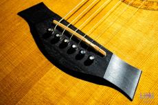 Taylor 514-CE-L30 / 2004_5