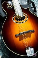 Eastman MD-514_10
