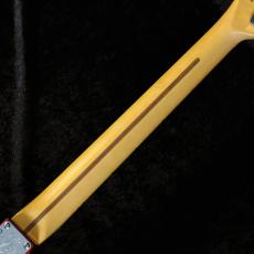Fender 75th Anniversary American Professional Classic Cabronita Telecaster CAR #US25066686【3.40kg】_9