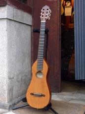 Gigpacker '93 GPC-II