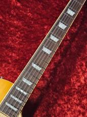Edwards E-LP-STD/P -Gold Top-  ≒3.71kg_4