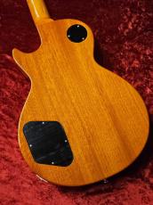 Edwards E-LP-STD/P -Gold Top-  ≒3.71kg_6