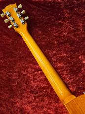 Edwards E-LP-STD/P -Gold Top-  ≒3.71kg_8