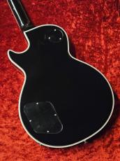 Edwards E-LP-CTM -JS-  ≒3.92kg_6