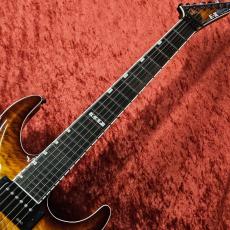 E-II HORIZON FR-II -Tiger Eye Sunburst-_4