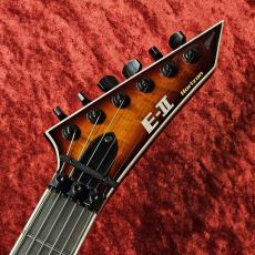 E-II HORIZON FR-II -Tiger Eye Sunburst-_5