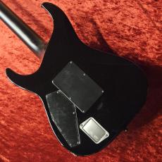 E-II HORIZON FR-II -Tiger Eye Sunburst-_6