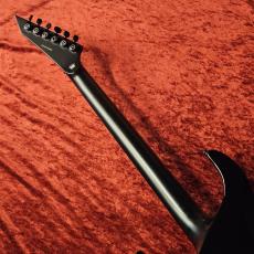 E-II HORIZON FR-II -Tiger Eye Sunburst-_7