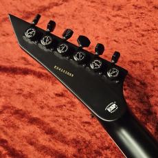 E-II HORIZON FR-II -Tiger Eye Sunburst-_8