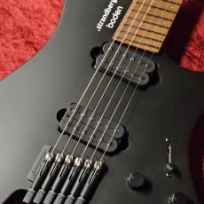 strandberg Boden Standard N2.6 -Black Satin Metallic- ≒2.428Kg_3