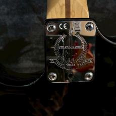 Fender American Standard Stratocaster 2014【3.66kg】_17