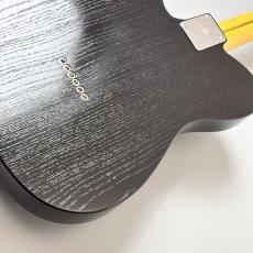 KING SNAKE Sidewinder CC -Black- #0238 【異端児TLタイプ】【幅広いサウンドメイク】_9
