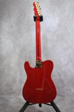 SCHECTER TR-L-PT LTD ARD 【Steve Lukather復刻モデル】_2