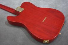 SCHECTER TR-L-PT LTD ARD 【Steve Lukather復刻モデル】_6