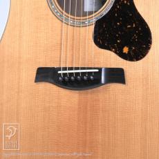 Switch D-70【60回無金利対象品】 _11