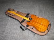 Vanzandt TLV-Thinline Limited_2
