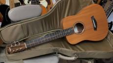 Taylor  Baby Taylor　BABY MAHOGANY BT2　　マイク搭載!　【アンプに繋げる　ミニ　ギター ベイビー　テイラー　 Mini Guitar 　】ベビー_3