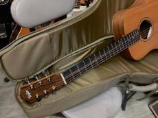 Taylor  Baby Taylor　BABY MAHOGANY BT2　　マイク搭載!　【アンプに繋げる　ミニ　ギター ベイビー　テイラー　 Mini Guitar 　】ベビー_6