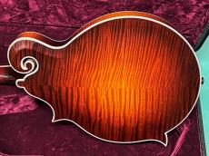 Gibson F-5L David Harvey_3