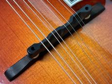 Gibson F-5L David Harvey_9